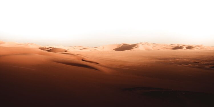 Deserto chegou bilhões árvores morreram