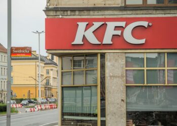 Tempero secreto kfc nasceu ervas