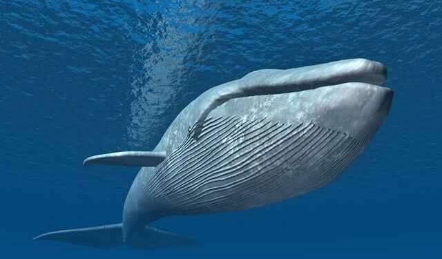 Parece dinossauro gigantesco animal passar