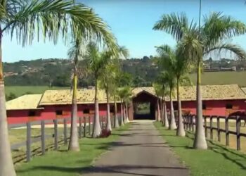 Dentro fazenda mil hectares cantora