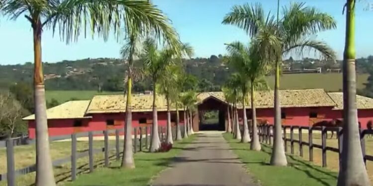 Dentro fazenda mil hectares cantora