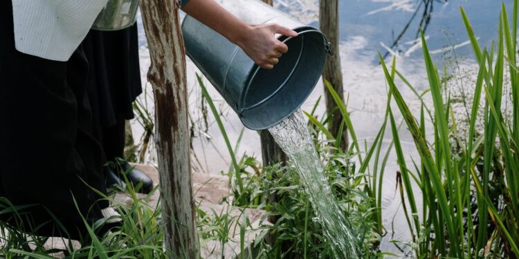 Você criando mosquitos dentro casa