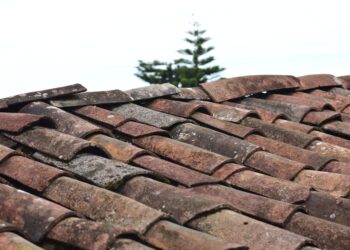 Voltar trabalho dona casa encontra