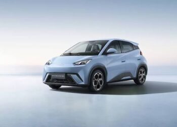 Byd corta mil dolphin mini