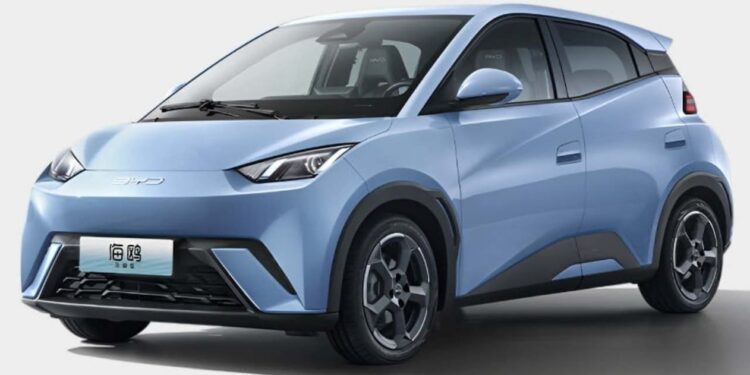 Byd dolphin mini fica mil