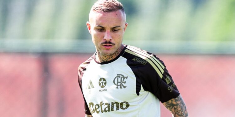Chegou craque flamengo custou fortuna