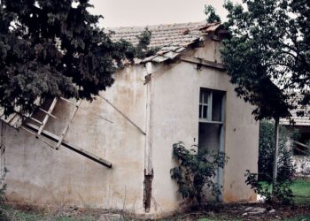 Donos casas terrenos abandonados poderão