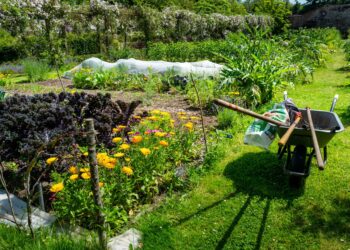 Especialista jardinagem revela outono época
