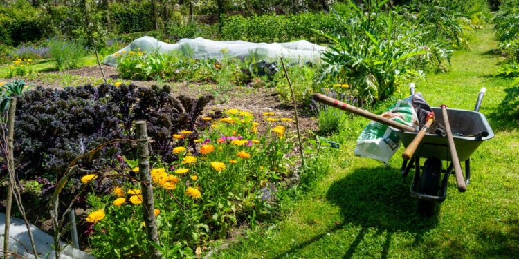 Especialista jardinagem revela outono época