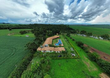 Fazendeiro arrenda hectares investe mil