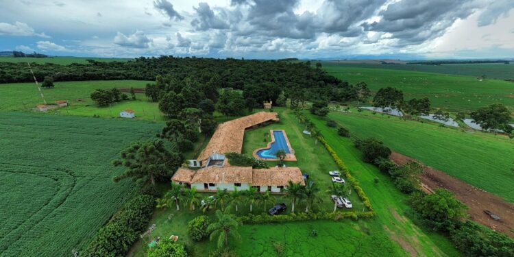 Fazendeiro arrenda hectares investe mil
