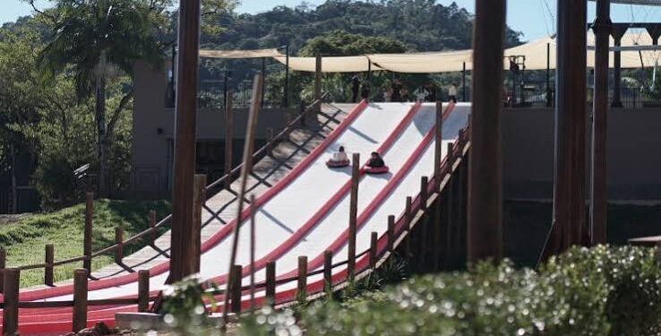 Fiscalização encontra menores trabalhando irregularmente