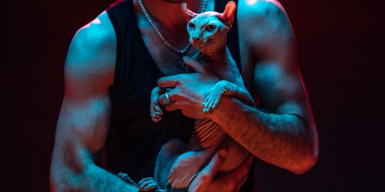 Homem aceita adotar gato pressão