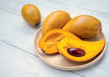 Manga mamão fruta amarela polpa