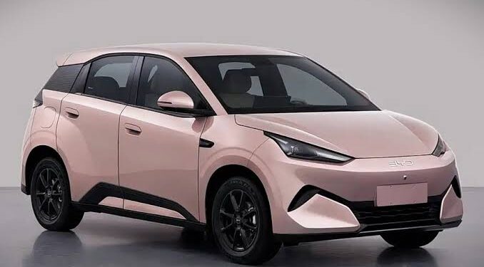 Novo byd dolphin mini cresce