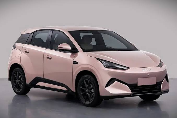 Novo byd dolphin mini cresce