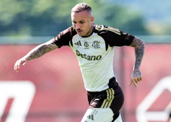 Salário everton cebolinha santos valores