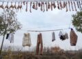 Geladeira humanos pré históricos conservavam