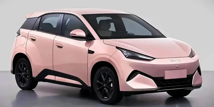 Byd dolphin mini chega lojas
