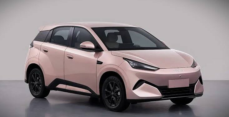 Byd revela interior novo dolphin