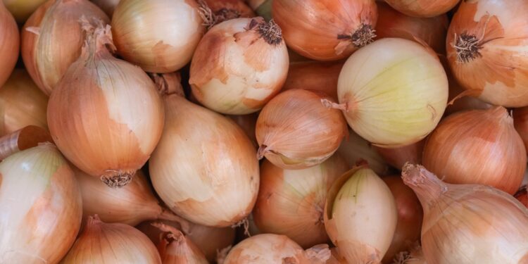Cebola branca roxa entenda muda
