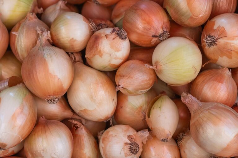 Cebola branca roxa entenda muda