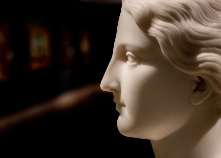 Colecionadora comprou busto mármore brechó