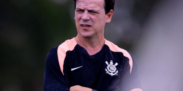 Era salário fernando diniz demitido