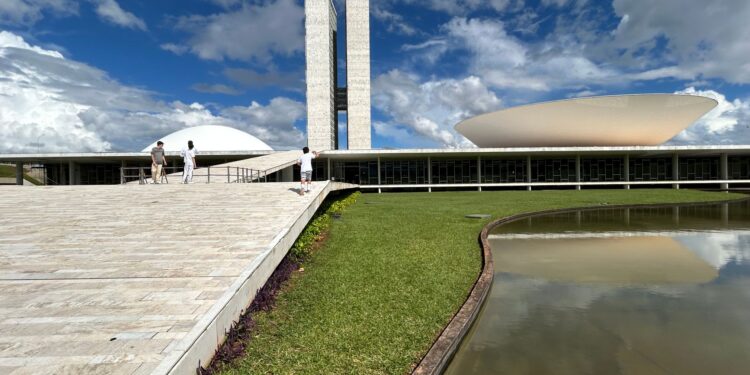 Deputado votado brasil