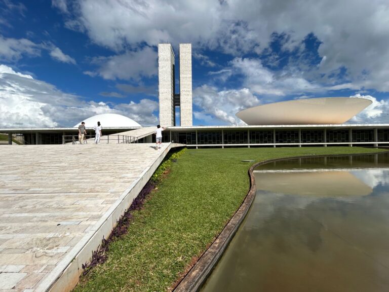 Deputado votado brasil
