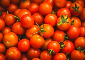 Tomate dispara preço setembro chama