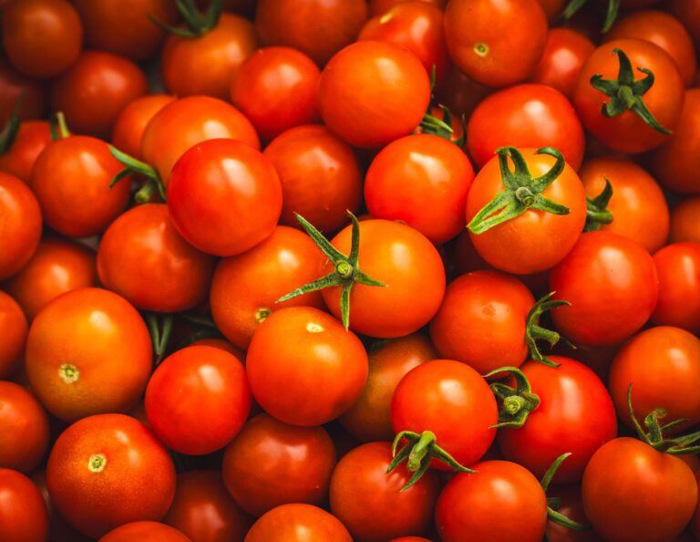 Tomate dispara preço setembro chama