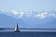 Um barco navega no lago Starnberger See como no fundo pode ser visto um panorama Alpes perto de Starnberg, sul da Alemanha, onde as temperaturas atingiram 28 graus Celsius em 3 de junho de 2019. Foto: Christof STACHE / AFP. - 