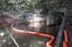 Refinaria Abreu e Lima tem vazamento e leo atinge area de manguezal em Suape, nesta tera - feira (27). Foto: Divulgao/Cortesia. - 