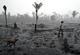 O fazendeiro brasileiro Helio Lombardo Do Santos e um cachorro caminham por uma rea queimada da floresta amaznica, perto de Porto Velho, Rondnia, Brasil, em 26 de agosto de 2019. Foto: CARL DE SOUZA / AFP. - 