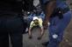 Um homem pode ser visto deitado no cho depois de ser preso por membros da Polcia Metropolitana de Ekurhuleni, no municpio de Katlehong, em Joanesburgo, durante uma nova onda de violncia anti-estrangeira em 5 de setembro de 2019. Foto: GUILLEM SARTORIO / AFP. - 