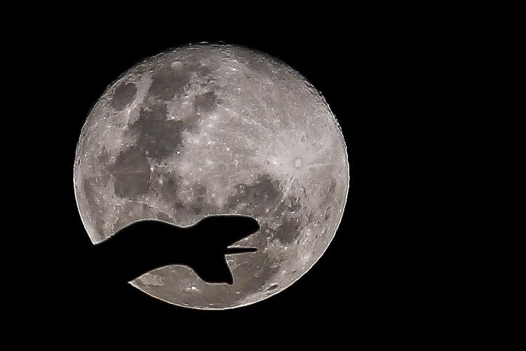 SUPERLUA ROSA: Veja as fotos da maior 