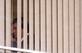 O ministro Sergio Moro fala ao telefone em seu gabinete no Ministrio da Justia, em Braslia (DF), nesta quinta-feira (23). O ministro pediu demisso ao presidente Jair Bolsonaro (sem partido) aps ser informado pelo presidente da deciso de trocar a diretoria-geral da Policia Federal, hoje ocupada por Mauricio Valeixo. - Pedro Ladeira/Folhapress