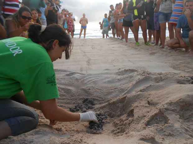 Foto: ONG Eco Associados/Divulgao 