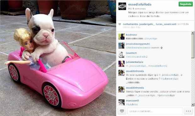 M.A. investe em fatos divertidos e inusitados, alm de registros de acontecimentos do cotidiano. Crdito: Instagram/Reproduo