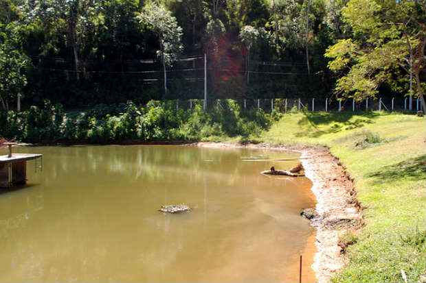Nvel reduzido da represa do Ribeiro So Bartolomeu, em Viosa, causou racionamento. Foto: Natlia Rodrigues/Divulgao