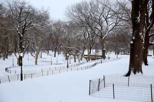Central Park vazio durante tempestade de neve. Foto: GETTY IMAGES NORTH AMERICA/AFP Alex Trautwig 