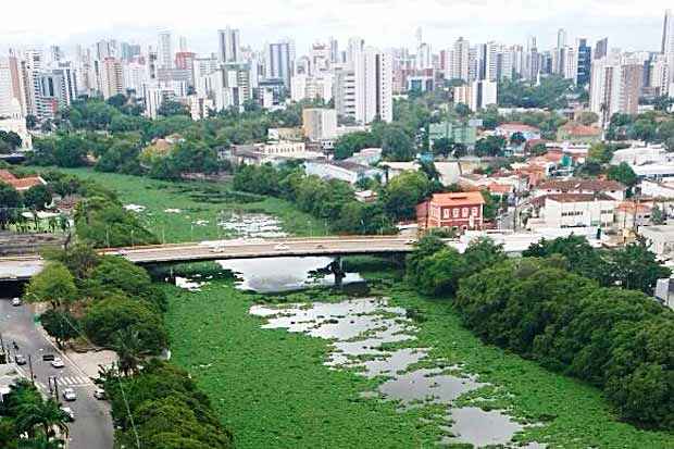 Vegetao modificou paisagem do rio neste sbado. Foto: Vera Ogando/DP/D.A Press