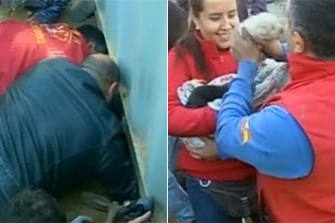 O corpo de bombeiros foi responsável pelo resgate dos animais. Foto: Telemundo/Reprodução O corpo de bombeiros foi responsável pelo resgate dos animais. Foto: Telemundo/Reprodução