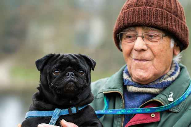 Foi a primeira vez que uma pesquisa comprovou que cães podem discriminar expressões emocionais exibidas por outra espécie. Foto: Martin Cooper/Flickr Foi a primeira vez que uma pesquisa comprovou que cães podem discriminar expressões emocionais exibidas por outra espécie. Foto: Martin Cooper/Flickr