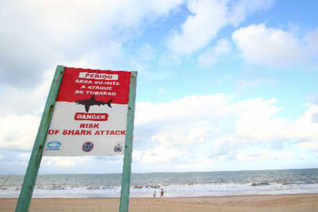 Placa indica perigo de ataque de tubaro na praia de Boa Viagem.Foto: Paulo Paiva/DP/D.A Press