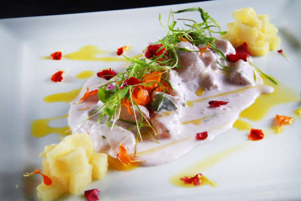 Cebiche de Pescado e Pulpo em Crema de Oliva Roja  opo para quem for almoar no Chicama, que agora abre nas sextas-feiras. Foto: 4Comunicao/ Divulgao