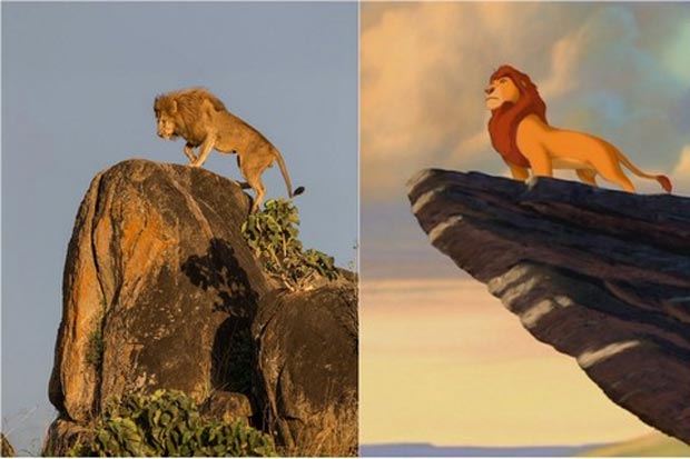 Montagem: Barcroft Media/Other Images/Reproduo-Disney