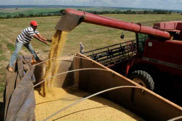 A agropecuria cresceu 4,7% no primeiro trimestre de 2015 sobre o quarto de 2014 e 4% ante o primeiro trimestre do ano passado. Foto: Gustavo Moreno/CB/D.A. Press