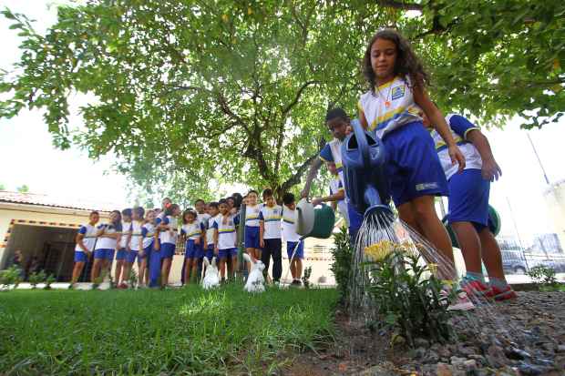 Projeto Semeando Amor, Colhemos Felicidade foi realizado com estudantes de 9 a 11 anos. Foto: Paulo Paiva/DP/D.A.Press.